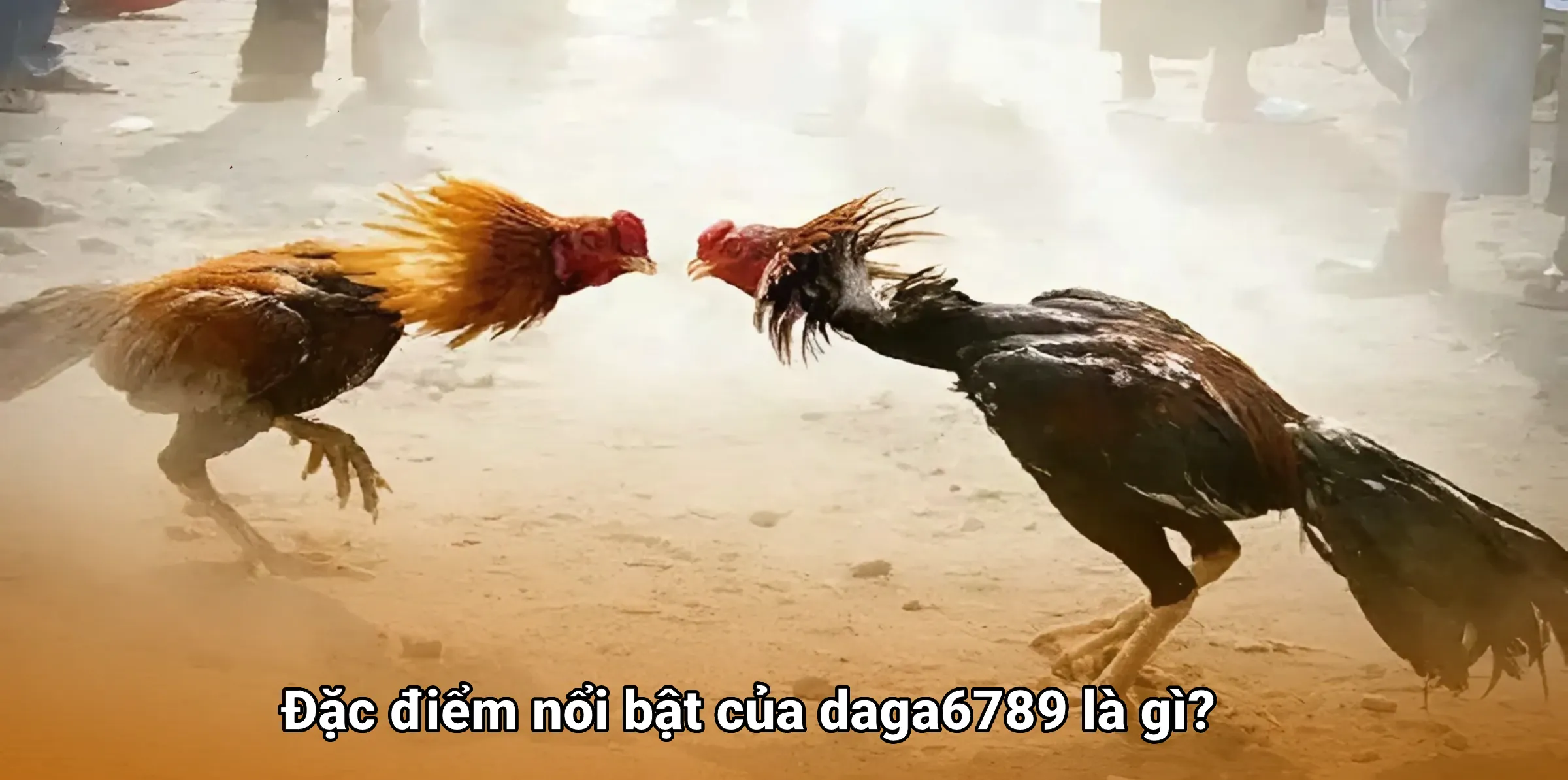 Đặc điểm nổi bật của daga6789 là gì?