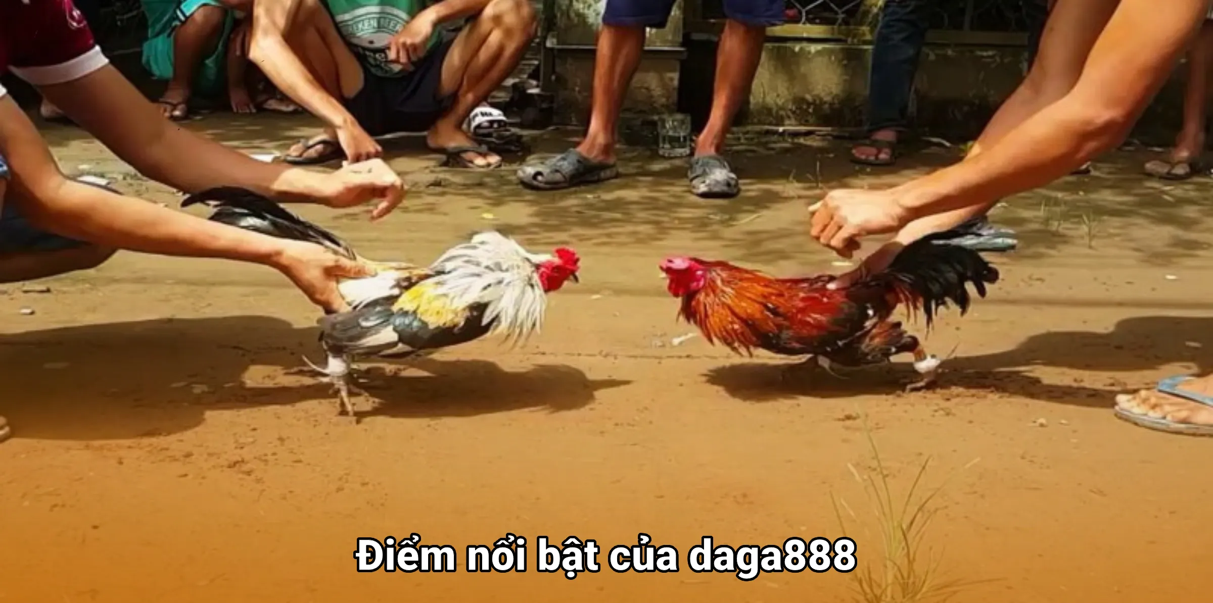 Điểm nổi bật của daga888