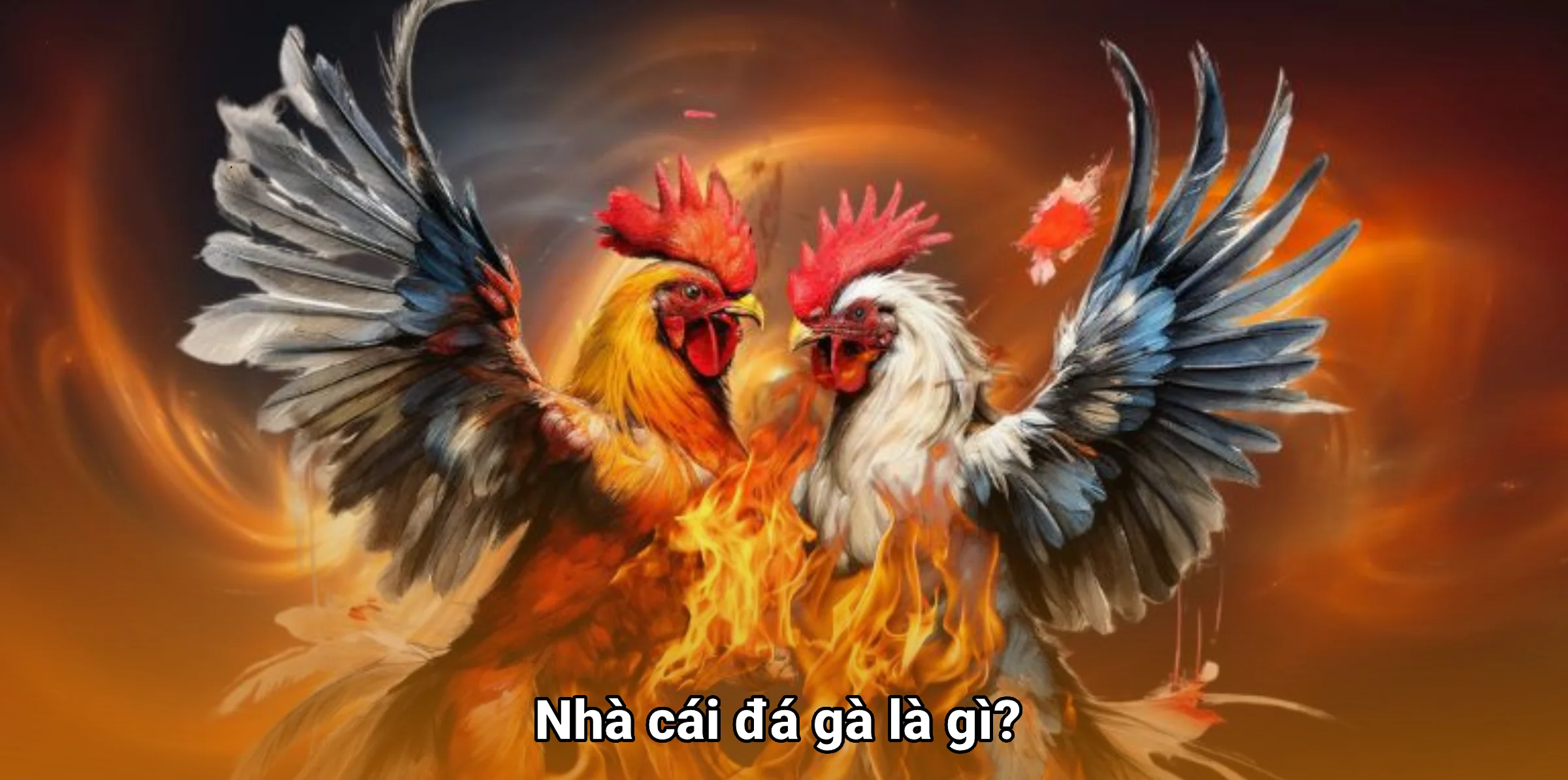 Nhà cái đá gà là gì?