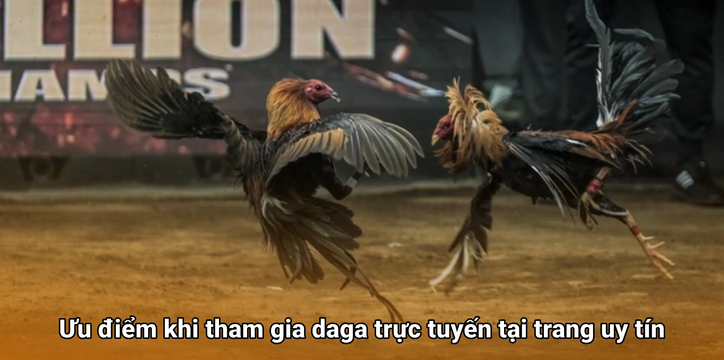 Ưu điểm khi tham gia daga trực tuyến tại trang uy tín